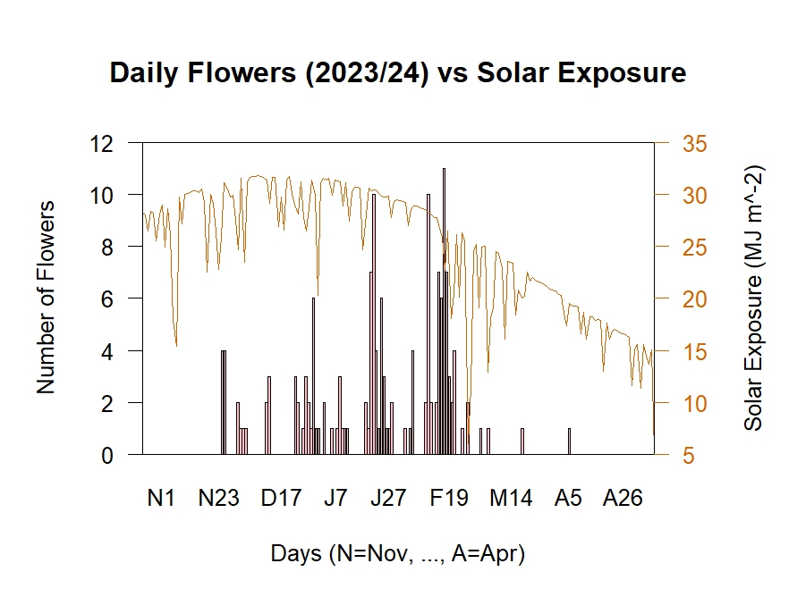 Flowers vs Solar Exposure 2023/24